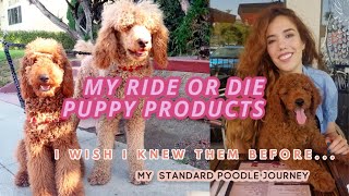 5 ESSENTIAL ITEMS FOR YOUR NEW STANDARD POODLE PUPPY  info I wish I new before getting them [upl. by Natka]