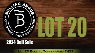 Lot 20 Bulliac Tuggeranong T429 [upl. by Aihsetal828]