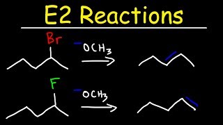 E2 Reaction Mechanism  Hoffman Elimination vs Zaitsevs Rule [upl. by Jorgan]