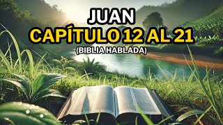 El Evangelio de Juan Hablado El Poder de la Palabra de Dios  Biblia Hablada [upl. by Edea]