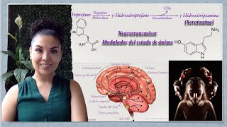 Aminas Biógenas y su aplicación clínica Serotonina 23 [upl. by Luigino]