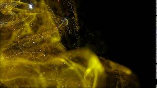 Golden Glitter sparkling background video  golden particles background hd  Royalty Free Footage [upl. by Strander]