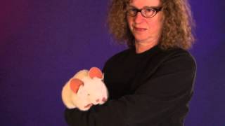 Folkmanis® White Mouse Puppet Demo [upl. by Bokaj665]