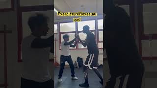 Exercice réflexes avec les pads coaching entrainement boxing wingchun mma martialarts [upl. by Ahsiena]