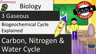 3 Gaseous Biogeochemical Cycle Explained  Carbon Nitrogen amp Water Cycle [upl. by Meta]