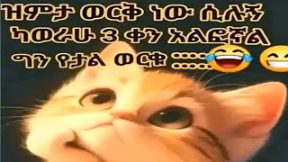 ሁለ ገብ ዩቱብ Hulu geb chanel جميله ጀሚላ ቻናል is live Welcome family funny video 🤣 [upl. by Dadinirt]