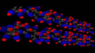 Organic Molecules Carbohydrates  Cell Biology  Biochemistry [upl. by Ellenij]