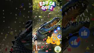 Descubra o Animal que Engole Pedras para Ajudar na Digestão  EducaKids Shorts quizinfantil [upl. by Sax]