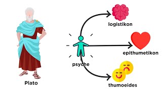 A Brief History of Psychology From Plato to Pavlov [upl. by Cheyney]