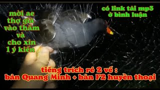 Tiếng Trích Ré Ăn Chim Nhất Hiện Nay  Có link tải mp3 [upl. by Cadal]