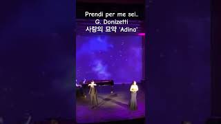 귀여운 아디나와 네모리노 Prendi per me sei libero  G Donizetti 사랑의묘약 아디나 아리아 [upl. by Ameyn]