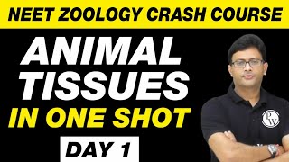 Animal Tissues in 1 Shot  Structural Organisation in Animals  UMEED  NEET Biology Crash Course [upl. by Wescott]