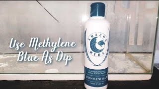 Methylene Blue As Dip [upl. by Cressy]