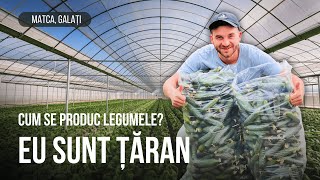 Merită să te apuci de legumicultură 👨🏽‍🌾 [upl. by Ernie530]