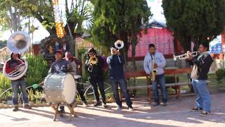 Músicos de Tierra Colorada Coicoyan de las Flores Oaxaca en la Festividad de Santos Reyes Tepejillo [upl. by Anstus627]