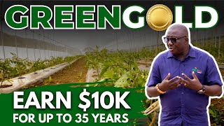 The Hidden Benefits of Greenhouse Agriculture in GHANA Revealed [upl. by Wivina]