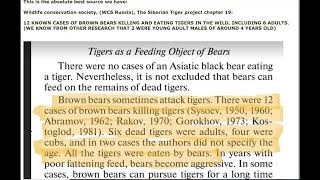 Ussuri Brown Bears vs Siberian Tiger debunking a clown Tiger fanatic [upl. by Naelopan]