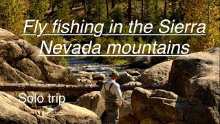 Fly Fishing in the Sierra Nevada Mountans [upl. by Elman805]