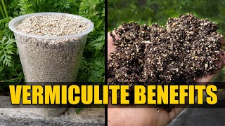 Benefits of Vermiculite  Garden Quickie Episode 48 [upl. by Richardo]