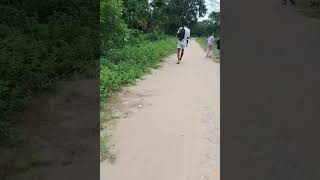 New bodo status video download short video comedy video [upl. by Boffa559]