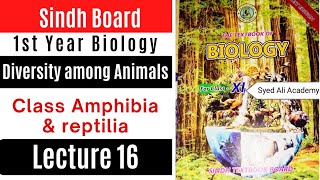 class amphibia  class reptilia  Diversity among animals  class 11 biology [upl. by Waugh]