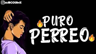 PURO PERREO 9🔥 BRASILERO 2019 MARCOS RMX [upl. by Ashly]