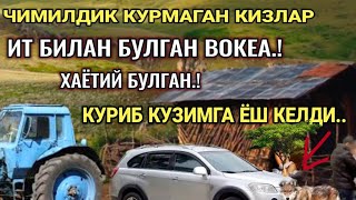 ЧИМИЛДИҚ КУРМАГАН ҚИЗЛАР ИТ БИЛАН БУЛГАН ВОҚЕА ХАММА КУРСИНERTAKCI BOBO [upl. by Eramal584]