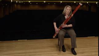 What does a bassoon sound like Ode to Joy [upl. by Annij]