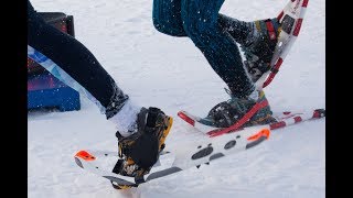 PA Snowshoe Championship 5k [upl. by Buffy302]