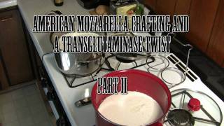 Making Mozzarella Cheese and Transglutamacurd  Part 2 [upl. by Markman]