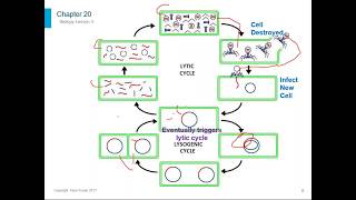 Biology Chapter 20 [upl. by Kiah]