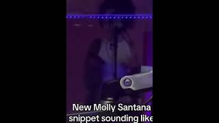 MOLLY SANTANA  MARIJUANASUMMER LEAKED FULL SONG ￼￼ [upl. by Merce]