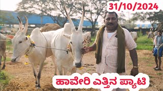 ಹಾವೇರಿ ಎತ್ತಿನ ಪ್ಯಾಟಿ  Haveri Bulls Market  ಪ್ರತಿ ಗುರುವಾರ ಬೆಳಿಗ್ಗೆ  haveribullsmarket [upl. by Zantos]