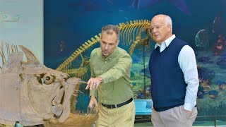 How Did Noahs Flood Create the Fossil Record  Dr Marcus Ross [upl. by Leonelle96]