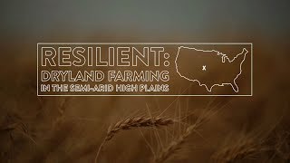 Resilient Dryland Farming in The SemiArid High Plains [upl. by Colpin828]