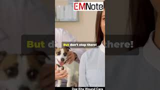 Dog Bite Wound Care 🐶 nursing doctor medical [upl. by Jacquet]