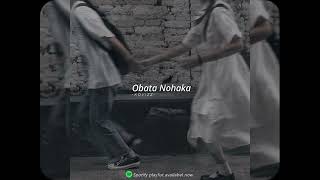 Obata Nohaka slowedreverb [upl. by Gambrell]