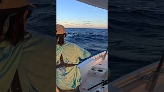 Nice Blackfin Tuna fishing fish tuna shorts viralvideo [upl. by Kennie]