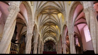 OLIVENZA BADAJOZ EXTREMADURA ESPAÑA [upl. by Nevyar166]