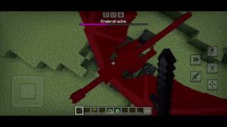 Minecraft Enderdrache vs me [upl. by Hgieliak141]