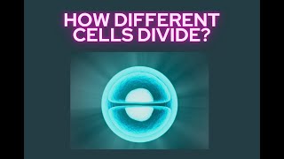 Mitosis and Meiosis  Cell Division in Living Things [upl. by Ayotl857]