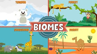 Biomes of the World  Types of Biomes  Video for Kids [upl. by Okimat]