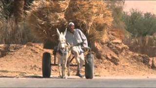 Dakhla Oasis 2 Egypt western desert [upl. by Ahsirpac]