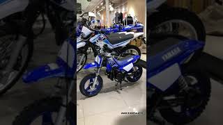 50cc Dirt Bike Yamaha PW50 [upl. by Anisamot]