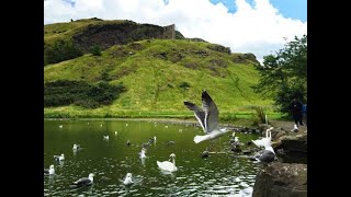 HOLYROOD PARK EDINBURGH [upl. by Naimed]