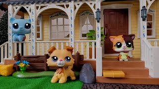 Making My LPS A New Horror Mansion [upl. by Auhso529]