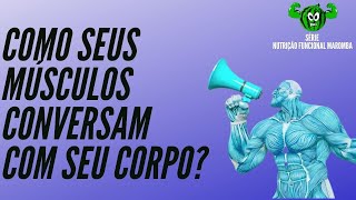 Miocinas Como seus músculos conversam com seu corpo [upl. by Edmond169]