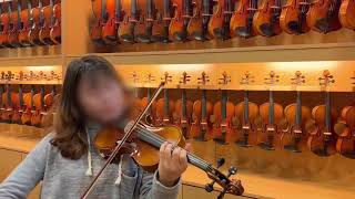 現代樂器 法蘭山德 SANDNER CV6 Violin 表演級 小提琴 示範影片 [upl. by Sanyu]