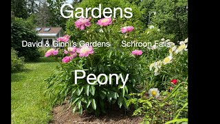 Peony Gardens [upl. by Ahsemo421]