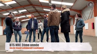 Jeu de travail collaboratif confiance [upl. by Chrisman207]